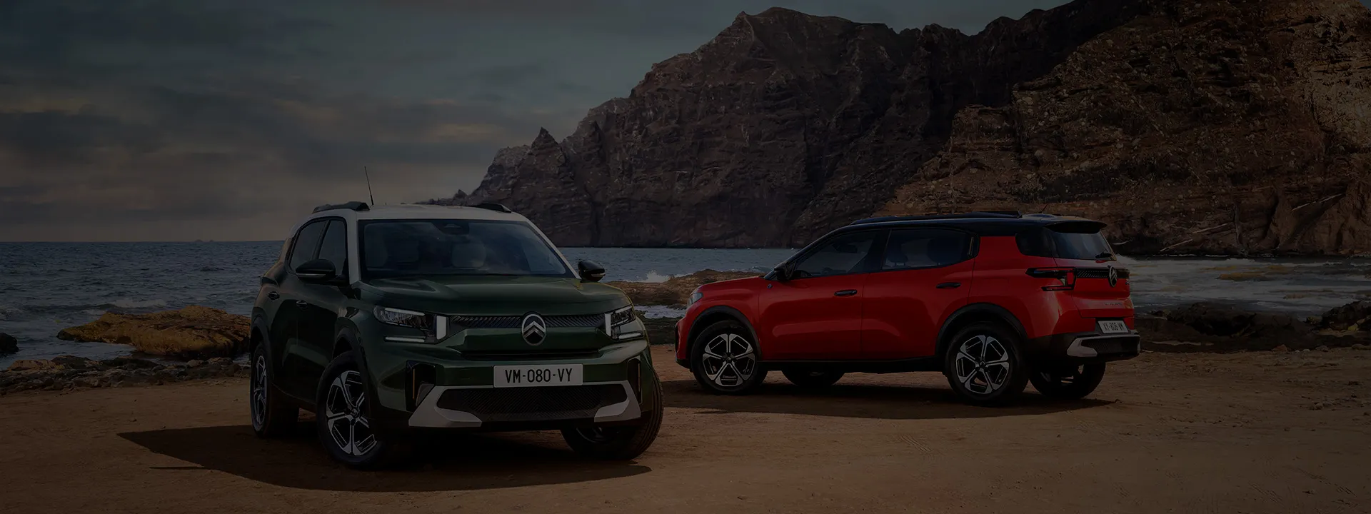 New Citroen Range