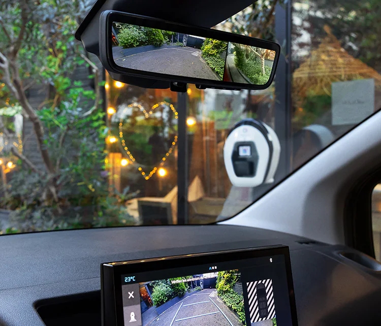 Dynamic Surround Vision